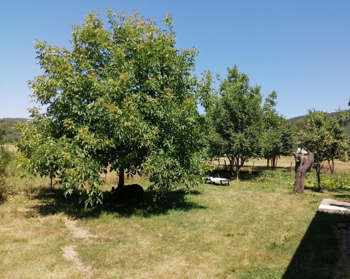 VrhovineHouse Natali公寓 外观 照片